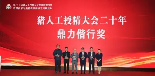 Company News