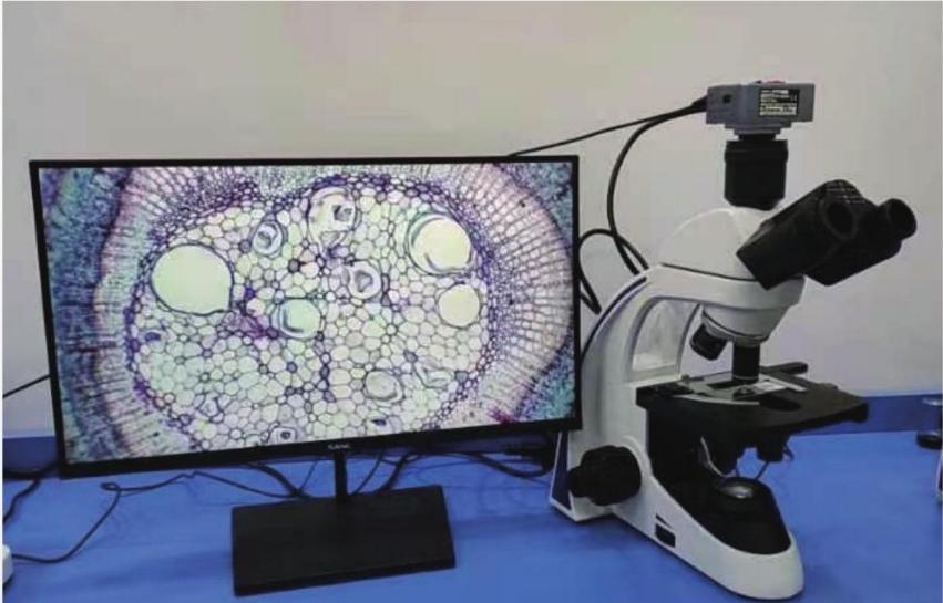 Binocular microscope (with 21-inch display) product image
